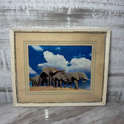 Vintage Matted Elephant Family Framed Photo