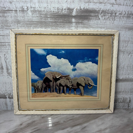 Vintage Matted Elephant Family Framed Photo