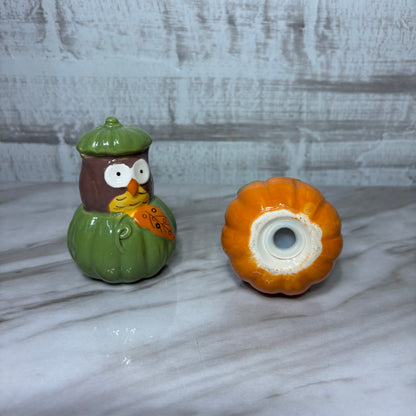 Owl In Pumpkin Salt & Pepper Shaker Set