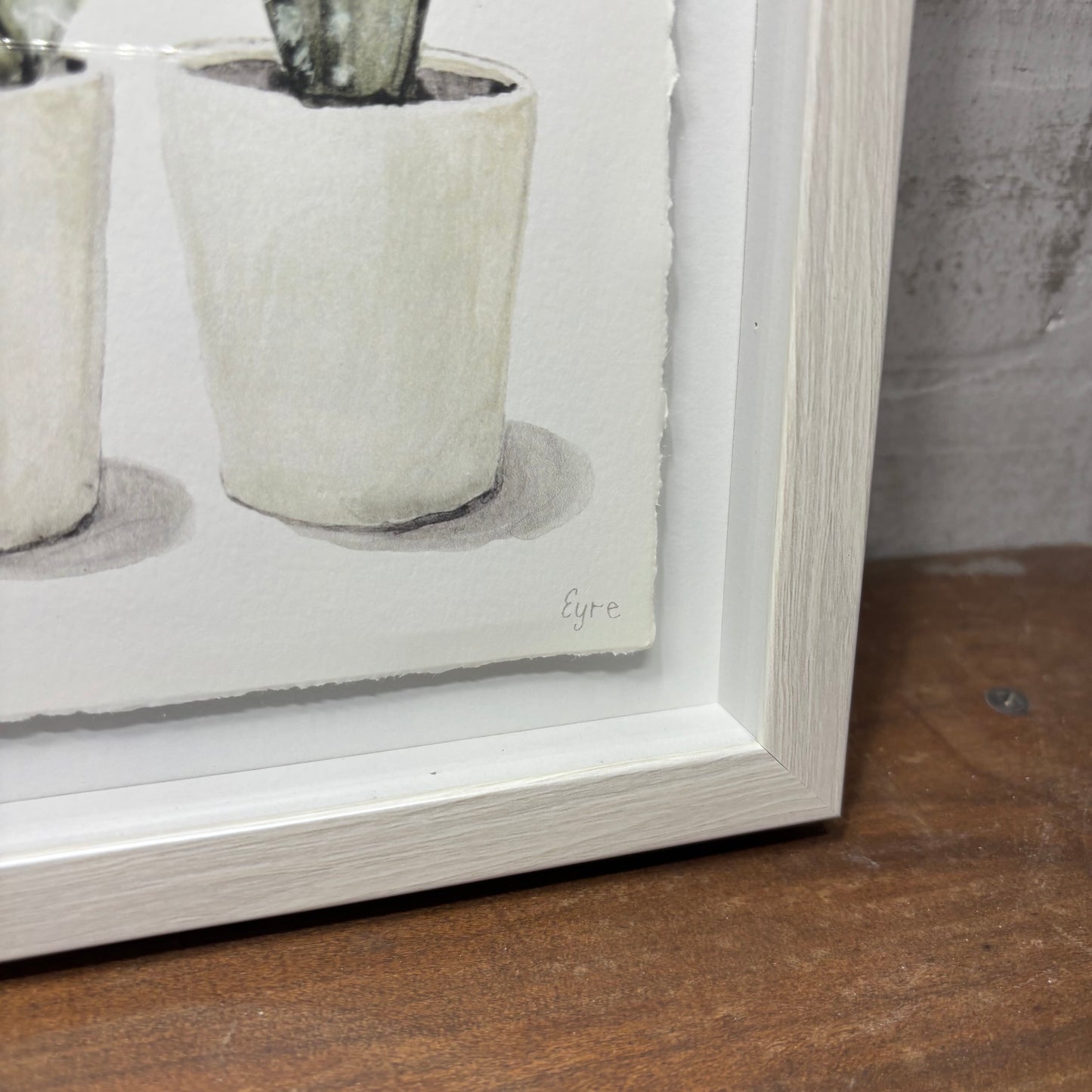 Shadow Box Plant Watercolor Painting