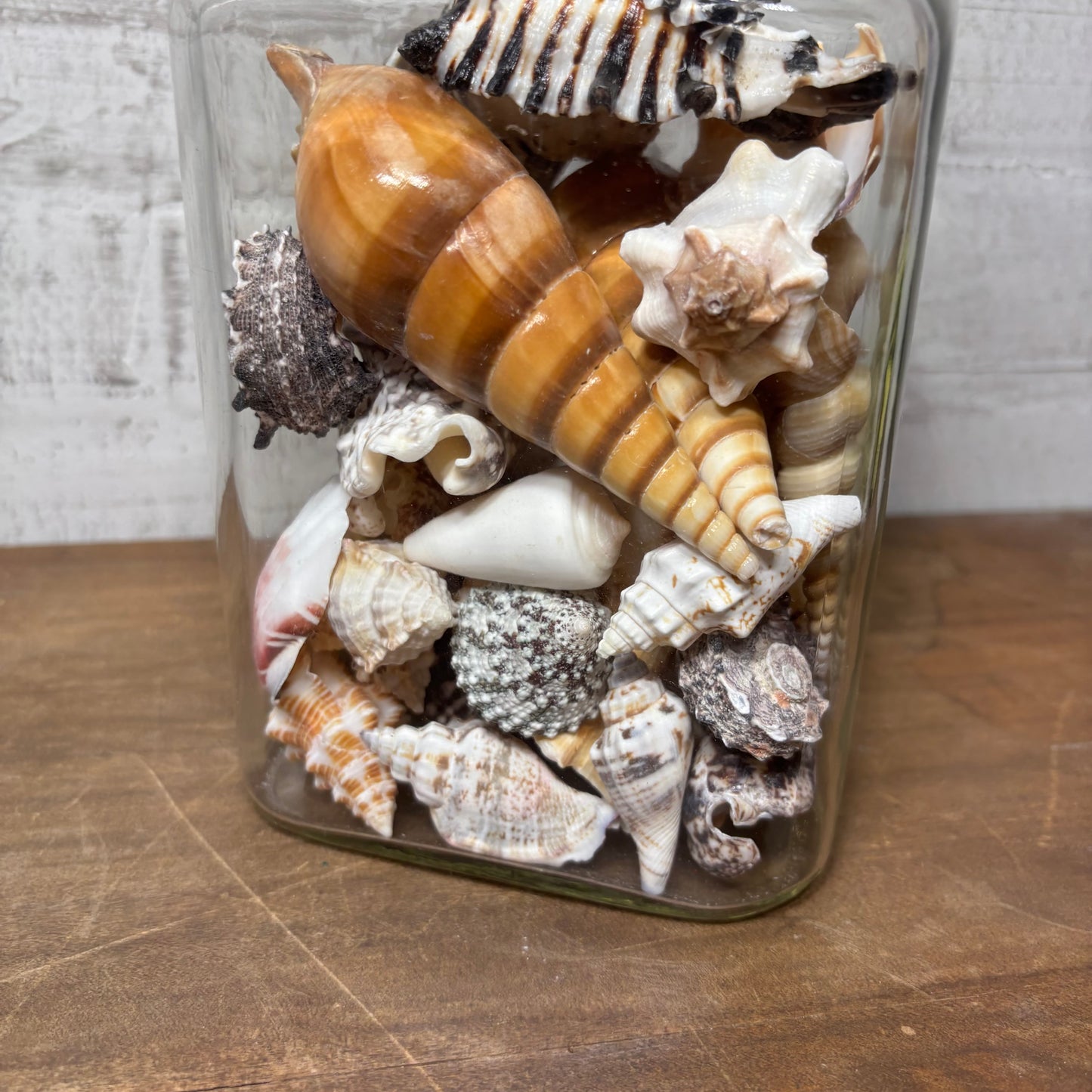 Glass Jar Full Of Seashells