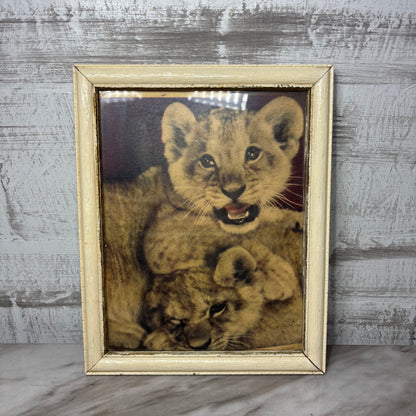Vintage Lion Cubs Framed Print