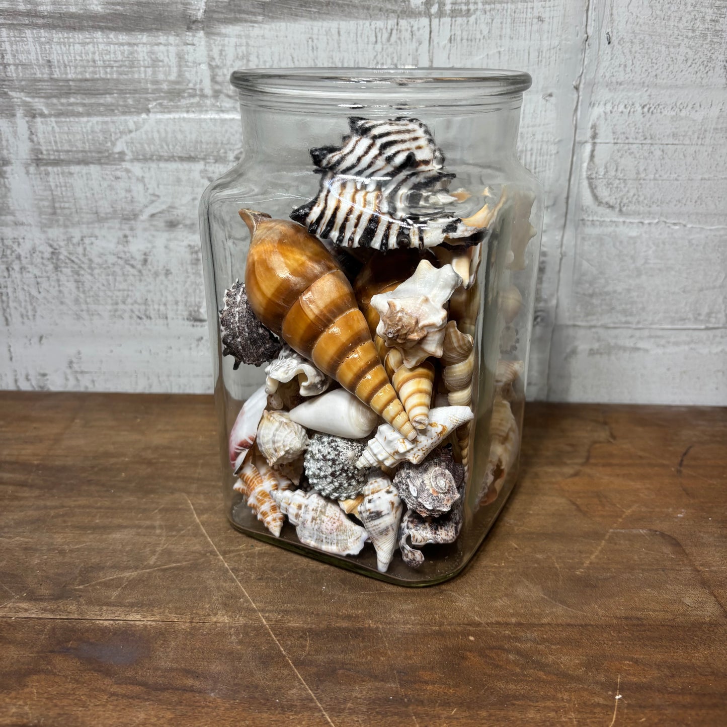 Glass Jar Full Of Seashells
