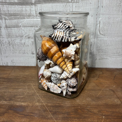 Glass Jar Full Of Seashells
