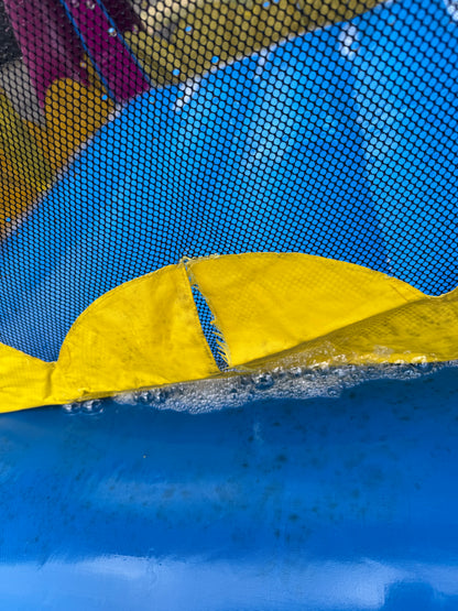 Disney Princess Bounce House