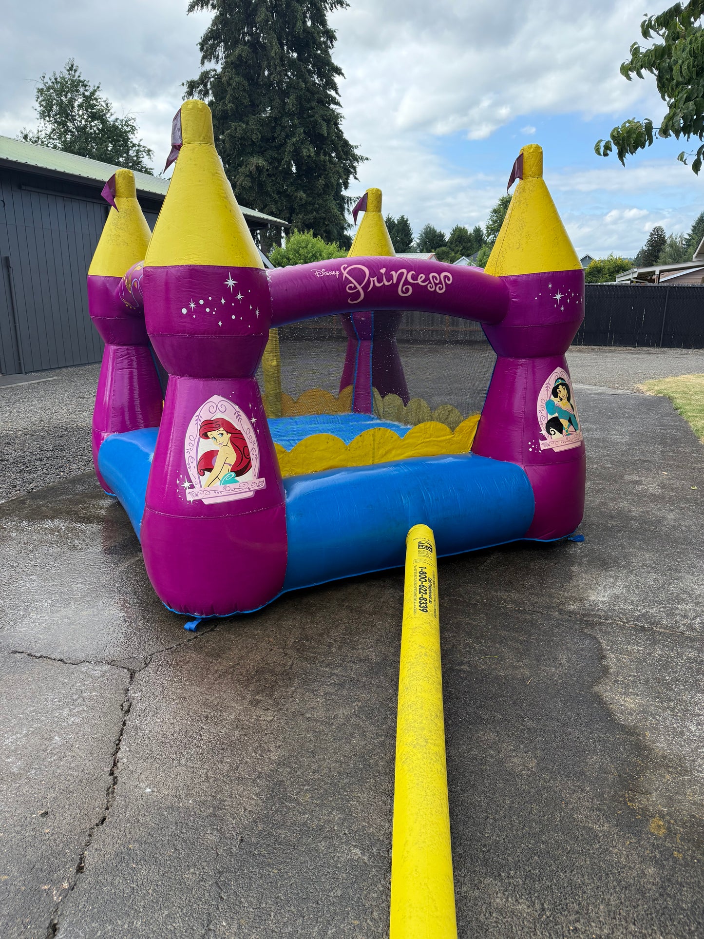Disney Princess Bounce House