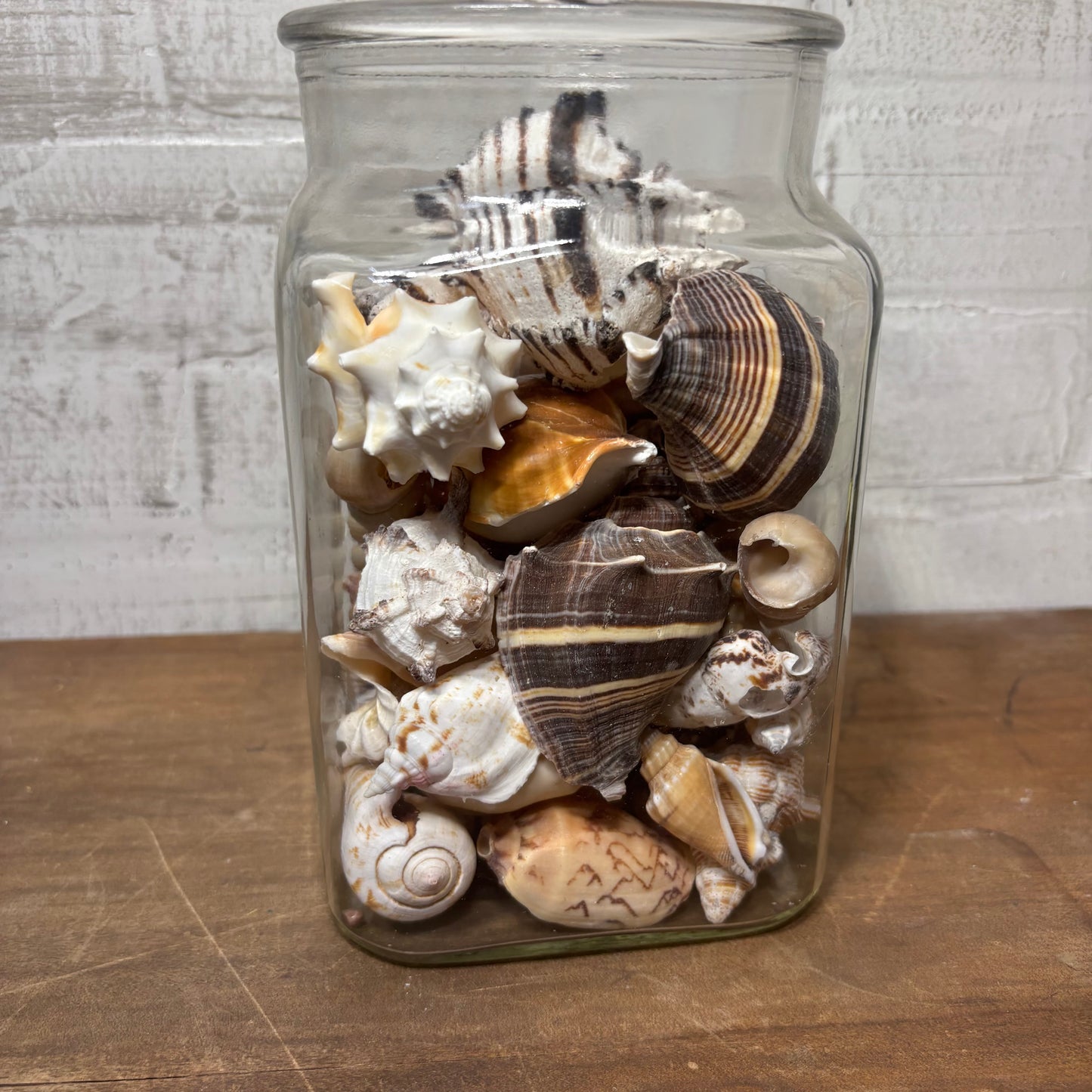 Glass Jar Full Of Seashells