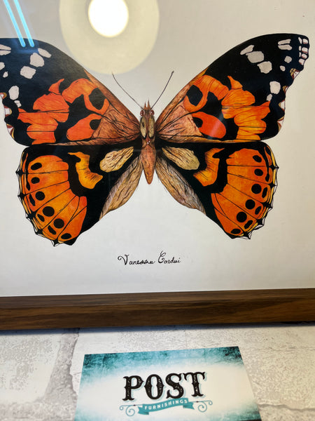 Monarch Butterfly Framed Art