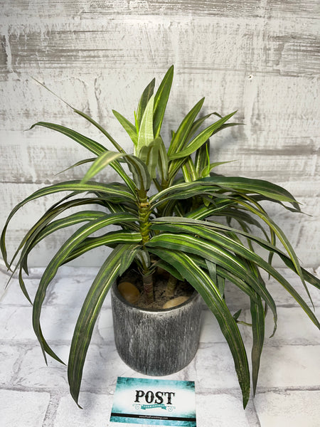 Faux Bamboo Plant In Pot