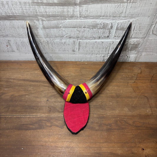 Decorative Mounted Horns