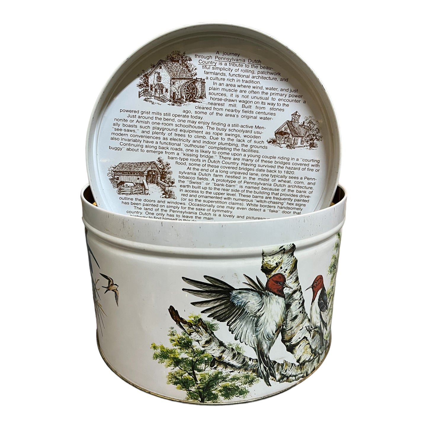 Vintage Decorative Feathered Friends Storage Tin