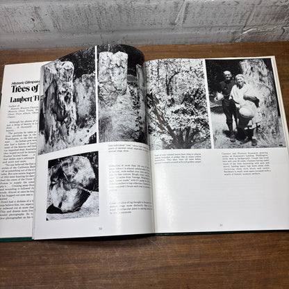 Historic Glimpses of Trees of the West: A Journey with Lambert Florin