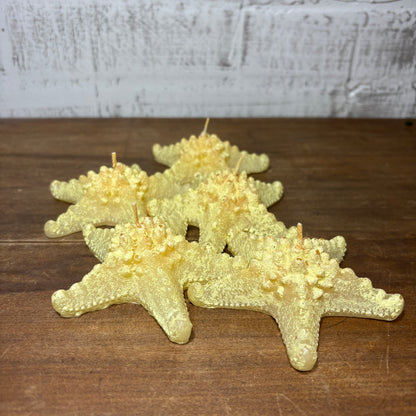 Nautical Knobby Horned Starfish Candles Set of 5
