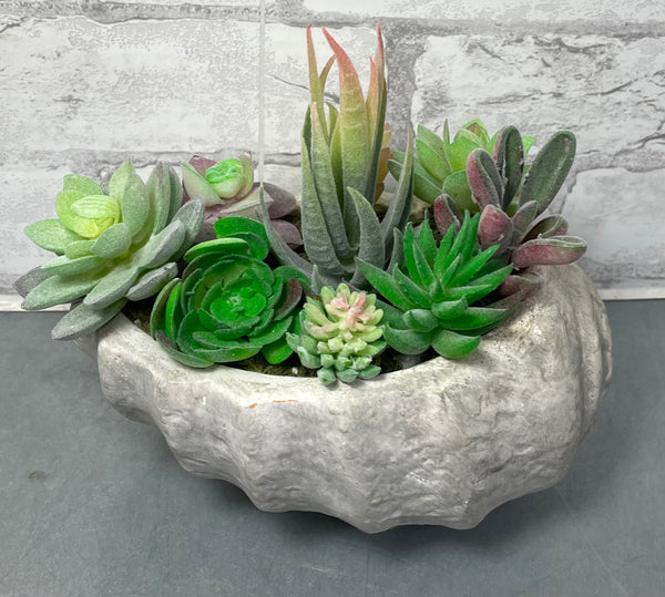 Shell Planter And Artificial Succulents