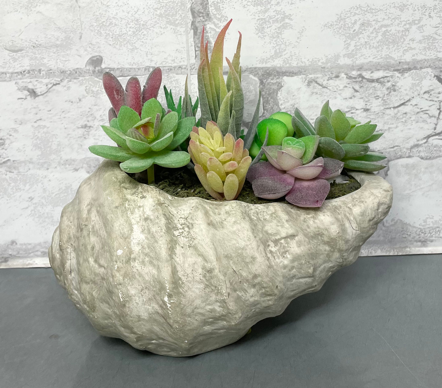 Shell Planter And Artificial Succulents