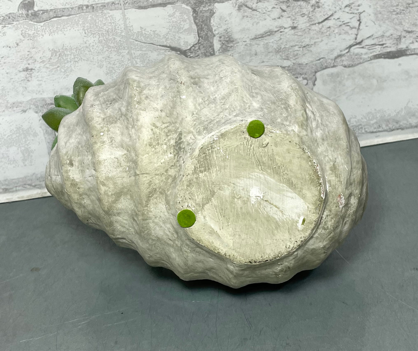 Shell Planter And Artificial Succulents