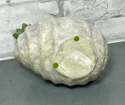 Shell Planter And Artificial Succulents