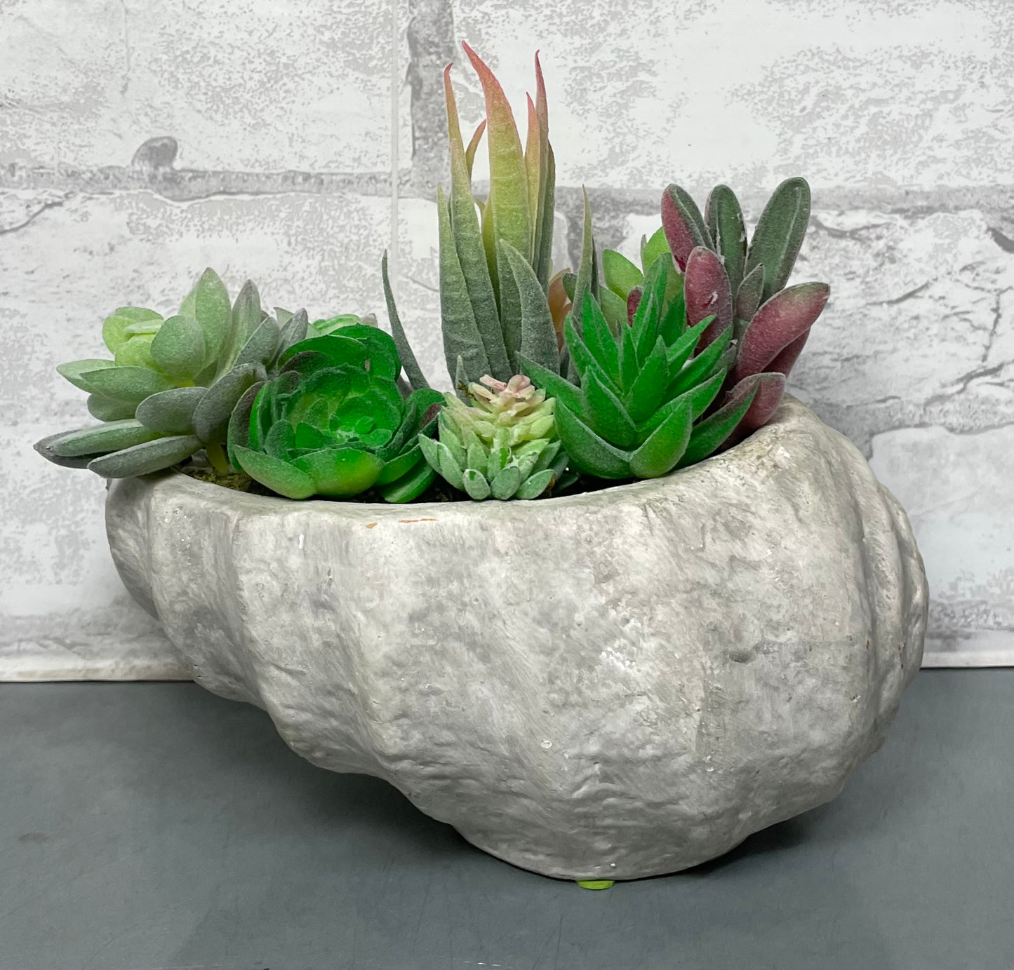 Shell Planter And Artificial Succulents