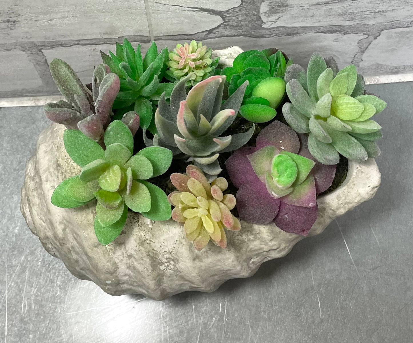 Shell Planter And Artificial Succulents