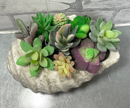 Shell Planter And Artificial Succulents