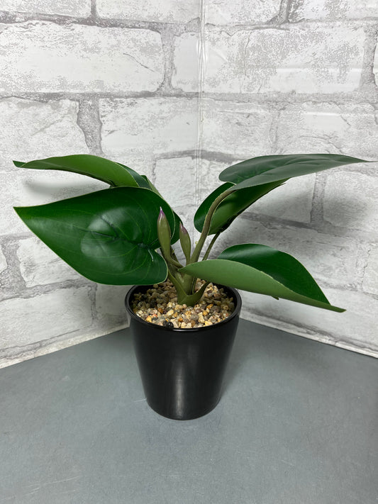Faux Philodendron Plant