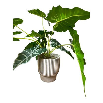 Artificial Alocasia Plant