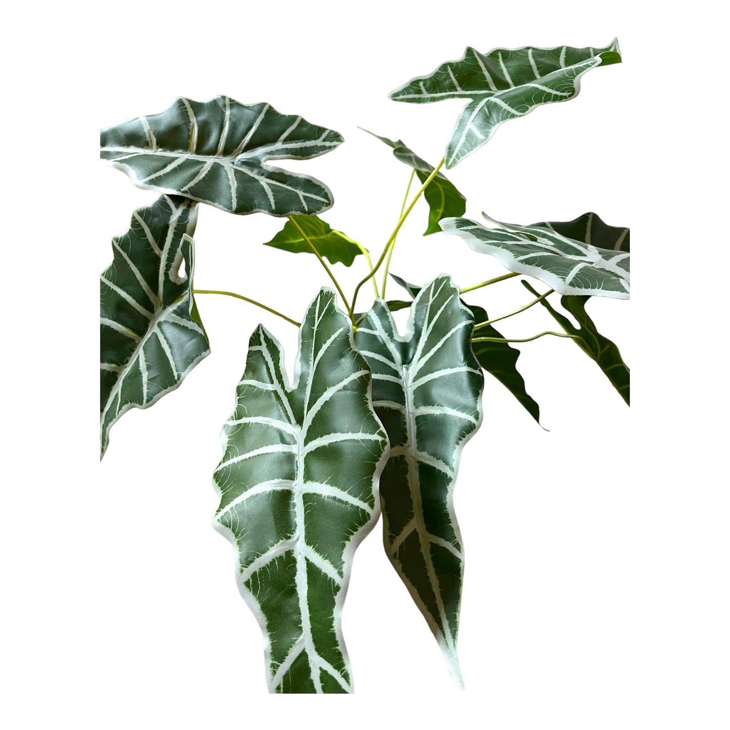 Artificial Alocasia Plant