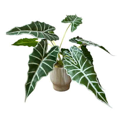 Artificial Alocasia Plant