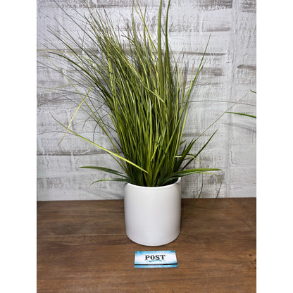 Faux Grass In White Ceramic Pot