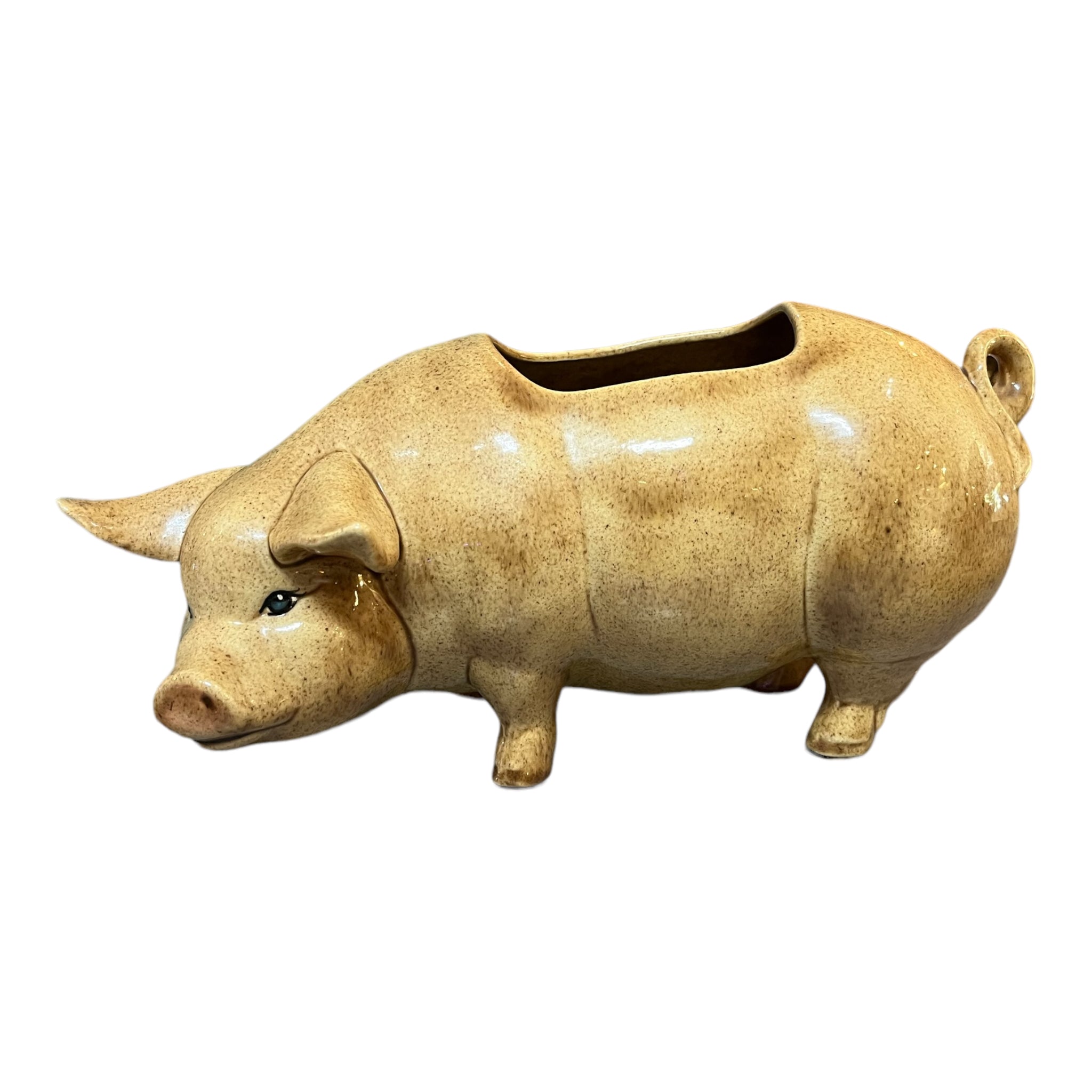 Ceramic Pig w/ Opening