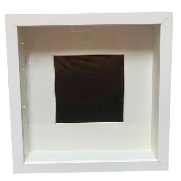 Shadow Box/ Picture Frame