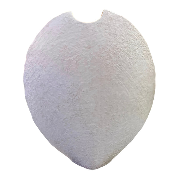 Shell Shaped Ceramic Vase